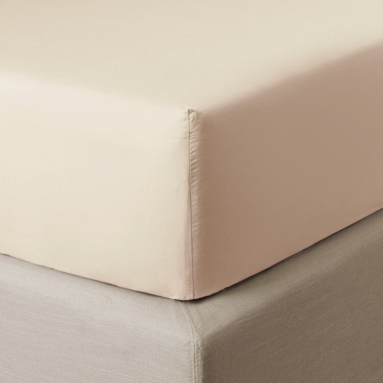 Drap housse COTON SOYEUX LATTE
